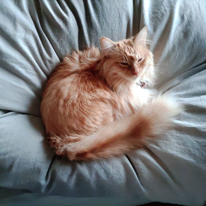 D2684c04 af5a 4154 98d9 8d3b8b3aae5c 1681423426999