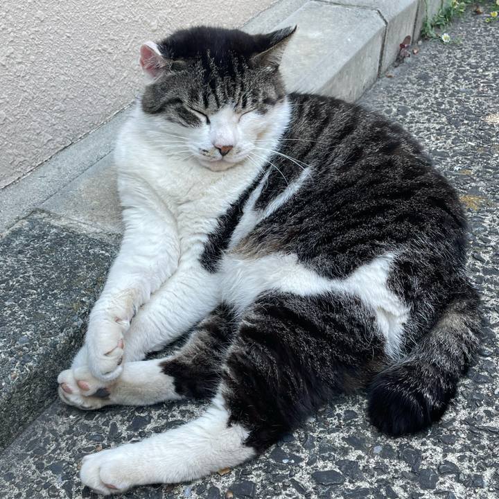 D2687978 a7cd 47ae 8662 e67a286a6304 1652929512445