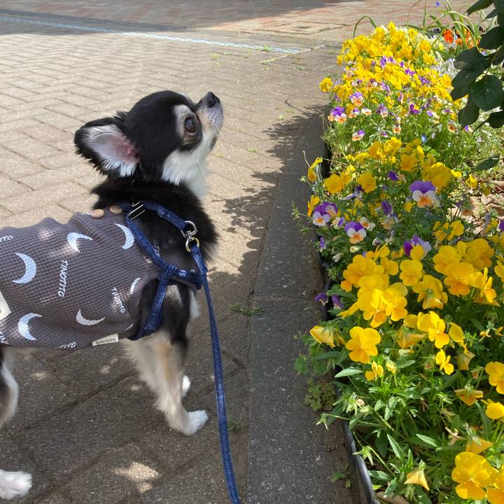 D2688d6b 89c6 4301 94a0 d160d739463f 1682782453822