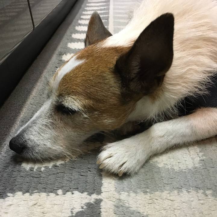 D2688dbc 3324 4d5d 93aa 43f1b92d22ac 1607732452926