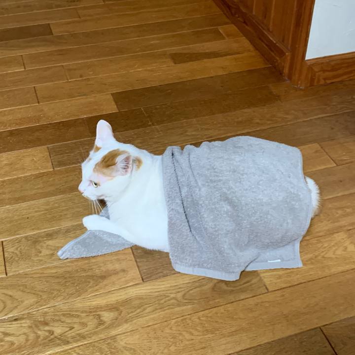 D268a756 5a93 4adb b15f 2b6749139d82 1661343354139