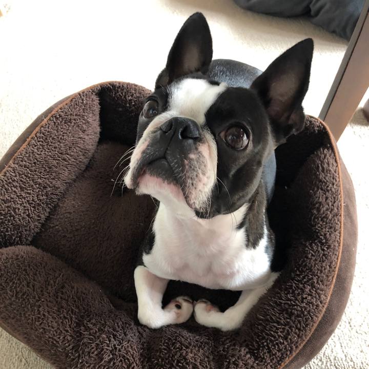 D268cf1a 9df4 41dc 815b 233133f4b409 1589195423299