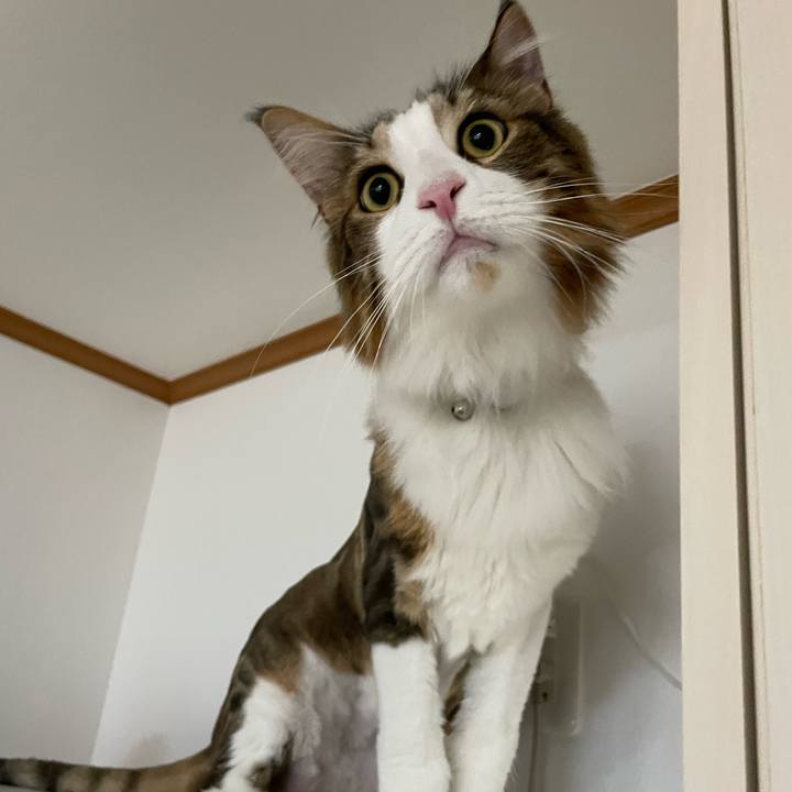 D268d91b 8bf2 4e6c 8dcd 023339c14a0c 1659477991959