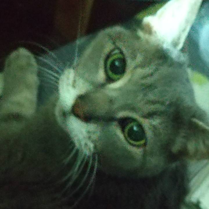 D269062b 4ad2 4567 b3f8 24d9cb61f451 1680517475506