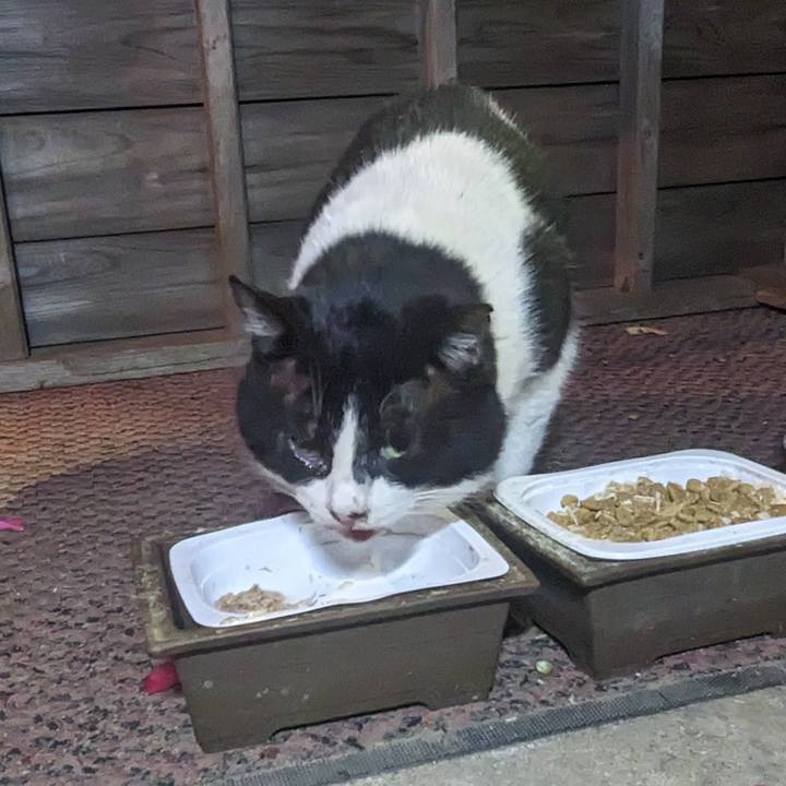 D2690fe6 83e4 45f1 8dfc cd42f8423a50 1768992940316