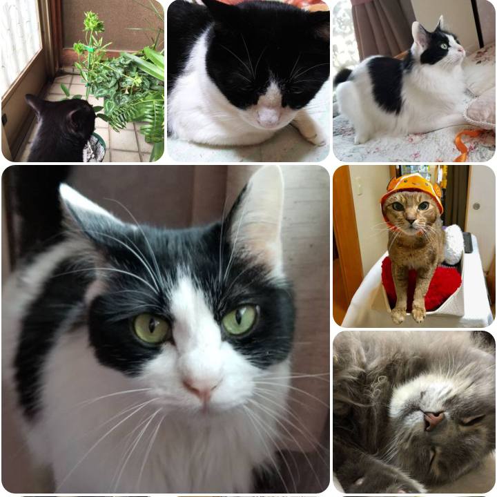 D2691d34 dc02 49f5 932d 7ceddad044ce 1558096088247