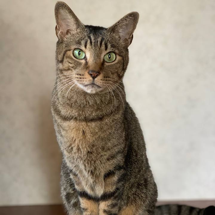 D269242c 0868 4b57 88a4 d3a2ca4d8883 1542505445768