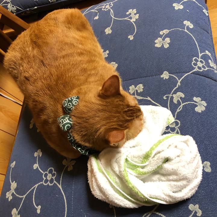 D269574d 5ac0 4f08 b849 8b1f92e3e5f9 1555242790394