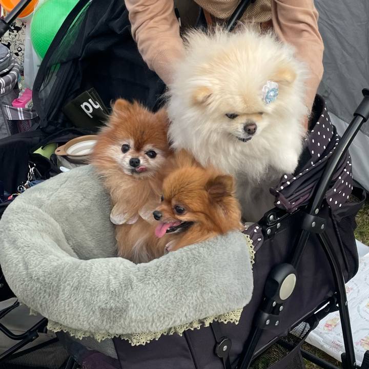 D269688d 2f2a 4950 af65 19e182415c30 1700743753408