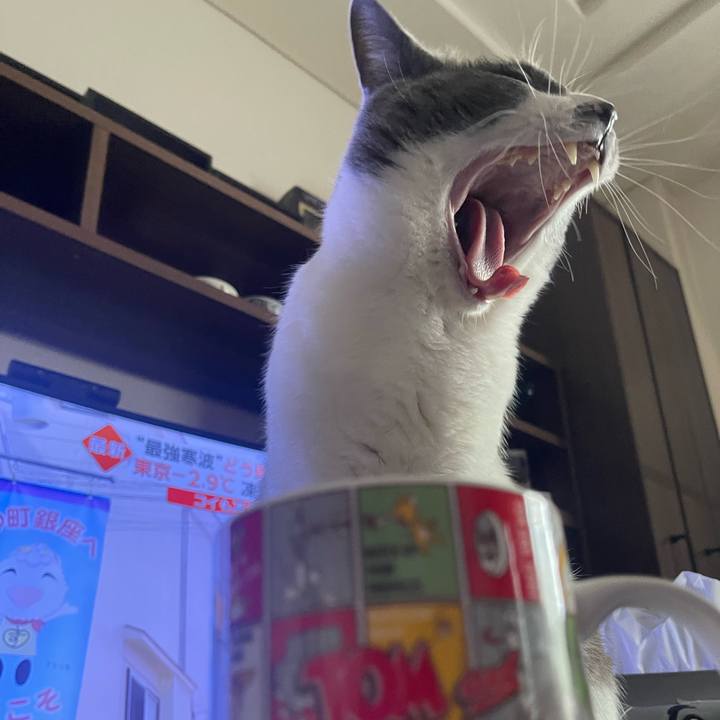 D2698d46 97a4 4517 aeec cdf4fec95249 1674630622814