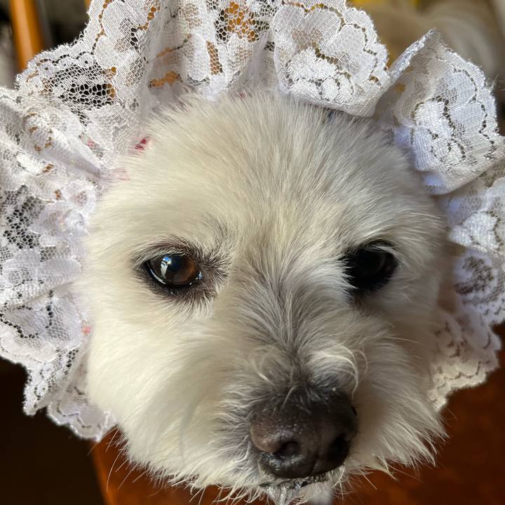 D2699928 9c26 4e6e 935b a009c6046f01 1685779463383