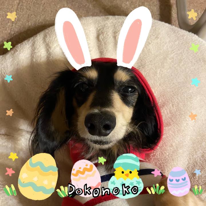 D2699d6c f232 4fe6 a232 4127a99b9478 1712666695764