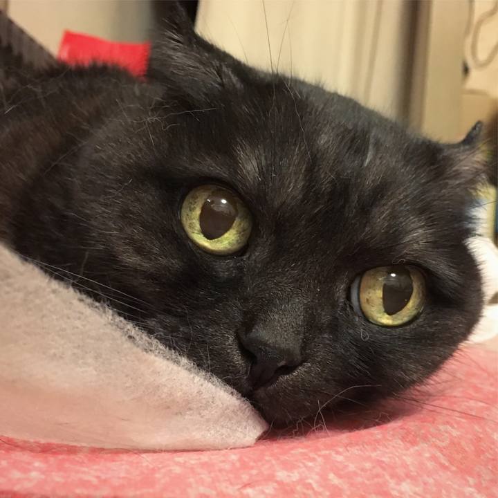 D26a0236 1fe8 493d 83f2 0a0e206b1262 1558025941295