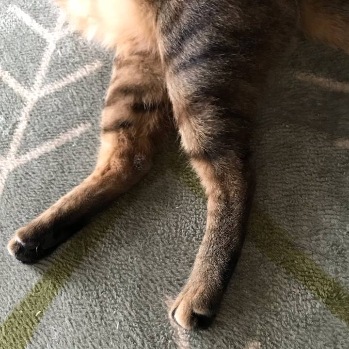 D26a1276 94e5 454a 94e9 b93ff58ebf4e 1589252552119