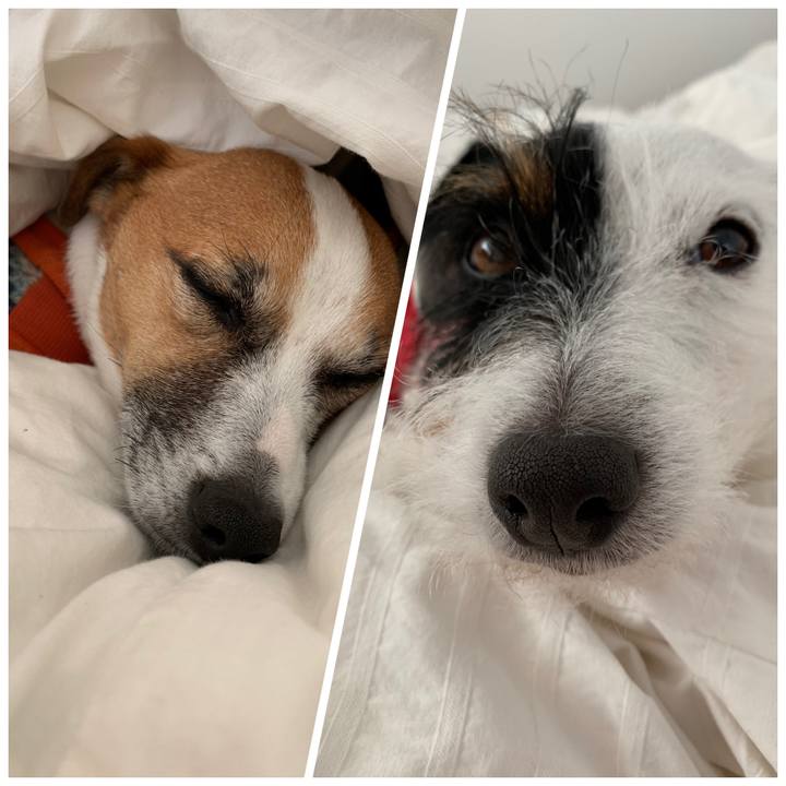 D26a4616 63c5 4b6b ad67 e9780803521e 1547680770649