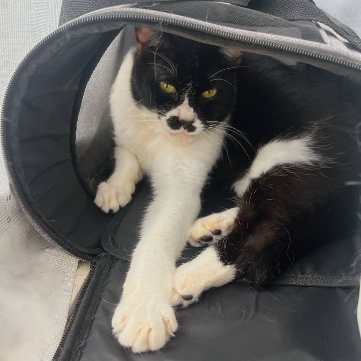 D26a593a 4d97 4692 aa04 bec2ed461346 1696376286626