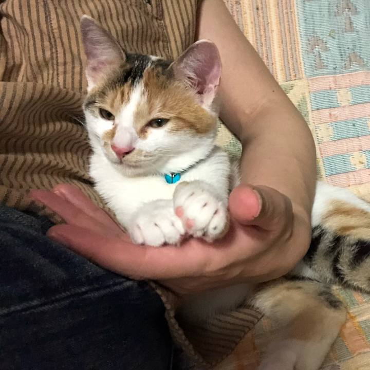 D26a6ec3 f4ef 4b85 b27f c9c5c7f76e39 1567940978476