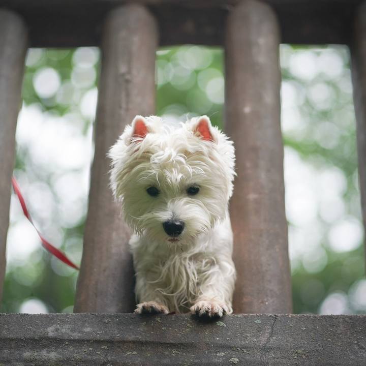 D26a79e9 e39b 4c62 9cc7 70def24b7728 1529617958646