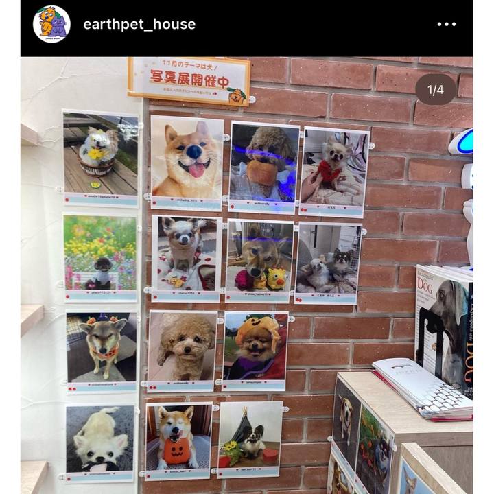 D26a7d7f 6401 4ef6 ba12 ddae0745a172 1699064285062