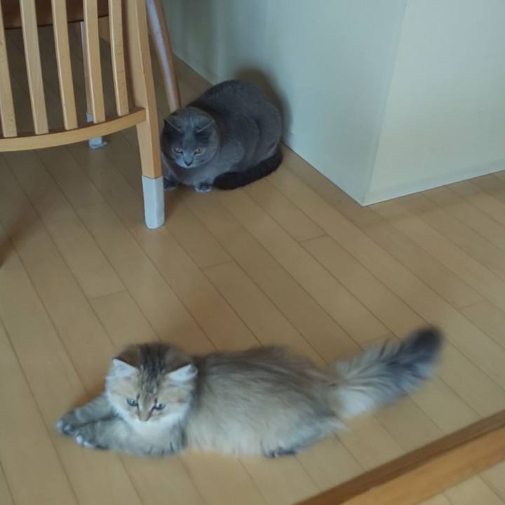 D26a83fa 137a 4632 bfac a420eab2dad6 1556753242035