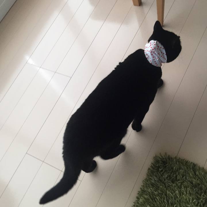 D26aa00c f642 4070 820d 371f8e08e859 1513386095036