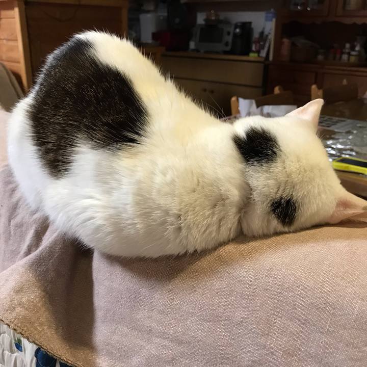 D26ab381 9332 4f82 8dbf 78ae6bfa79c6 1579176577991