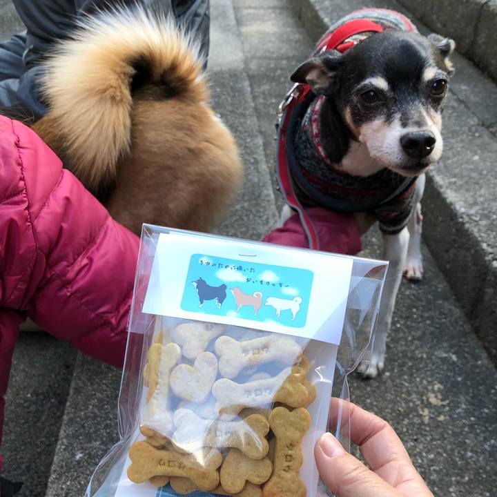 D26ac076 2355 4128 ab96 3ed8f280ace0 1552775009529