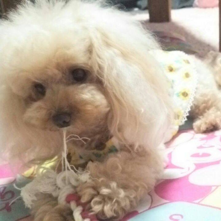 D26ae376 3baf 4a27 9674 50f7edaf372a 1562244545367