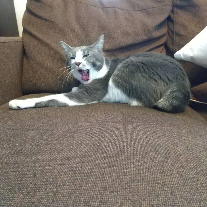 D26af93e 4485 4dc4 9019 04ab83d2b643 1615095215142