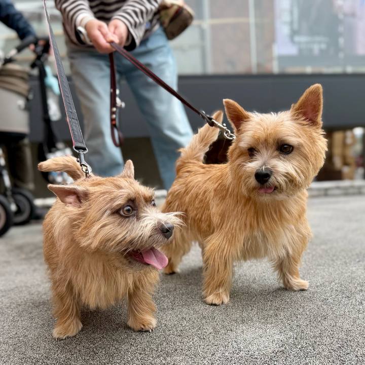 D26b3b90 7340 4247 a915 6171f02f78d3 1762177176176