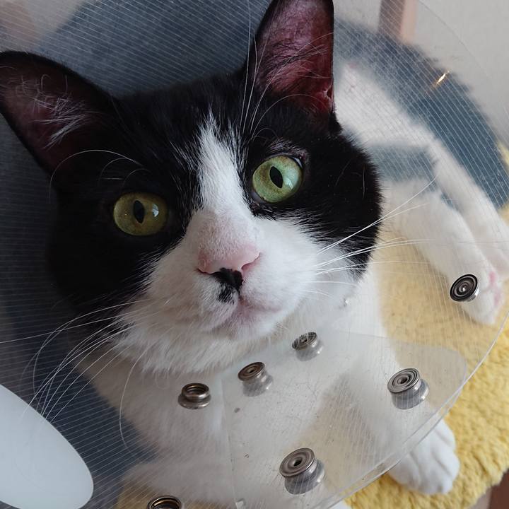 D26b413c 6abe 4c00 ae17 95152c7bf82d 1579229447604