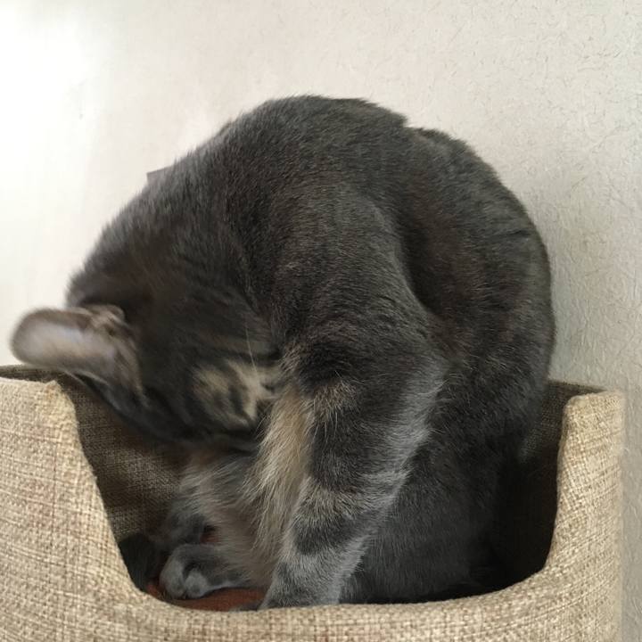 D26b70bf 2761 4ce0 8a7b 5fdf256a28dc 1508027893245