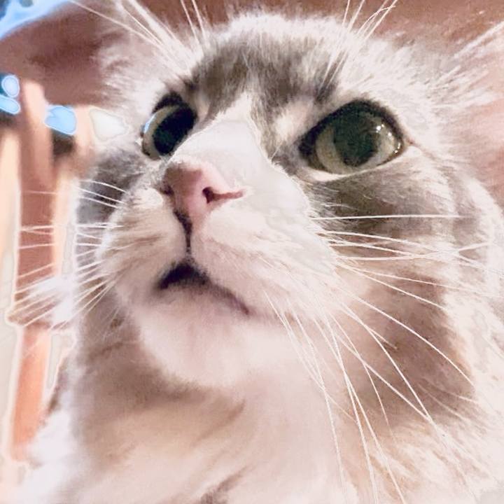 D26b7495 3f20 4db5 81ad 7f3d979391ee 1749828150398