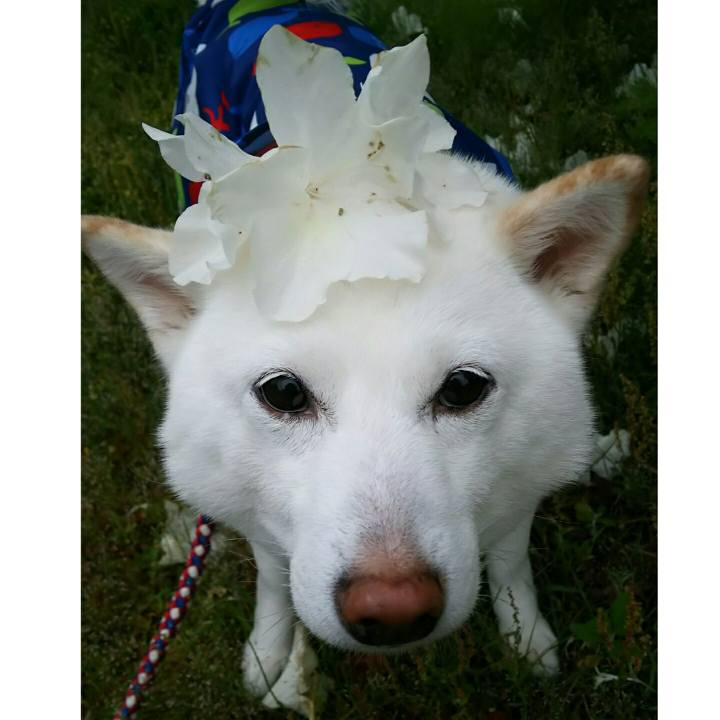 D26b8d59 1a1d 44ad 824b f8319c7b3d9d 1589966928686