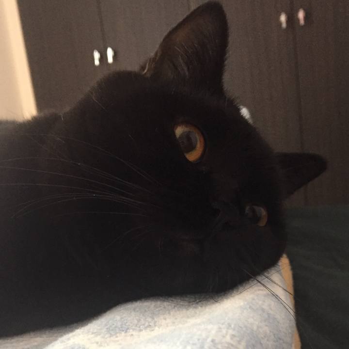 D26ba5f6 14c4 4b52 815c f901ce756e7c 1507936283684