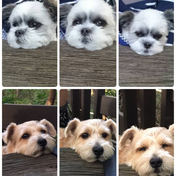 D26bd902 eaeb 4a37 9506 57b31b73a68a 1521869435608