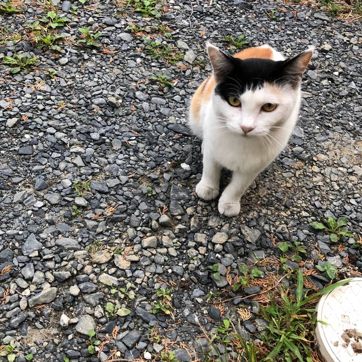 D26c005a 3d12 437f 9000 294a57b7a517 1600208221759