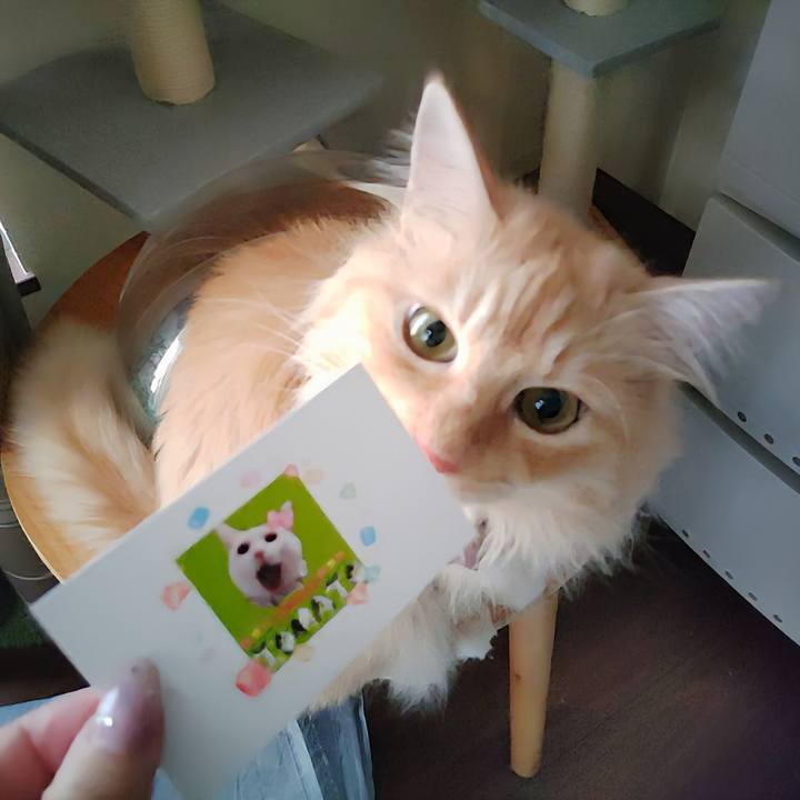 D26c5231 b25d 4483 a8d4 22ad26e77470 1723366143875