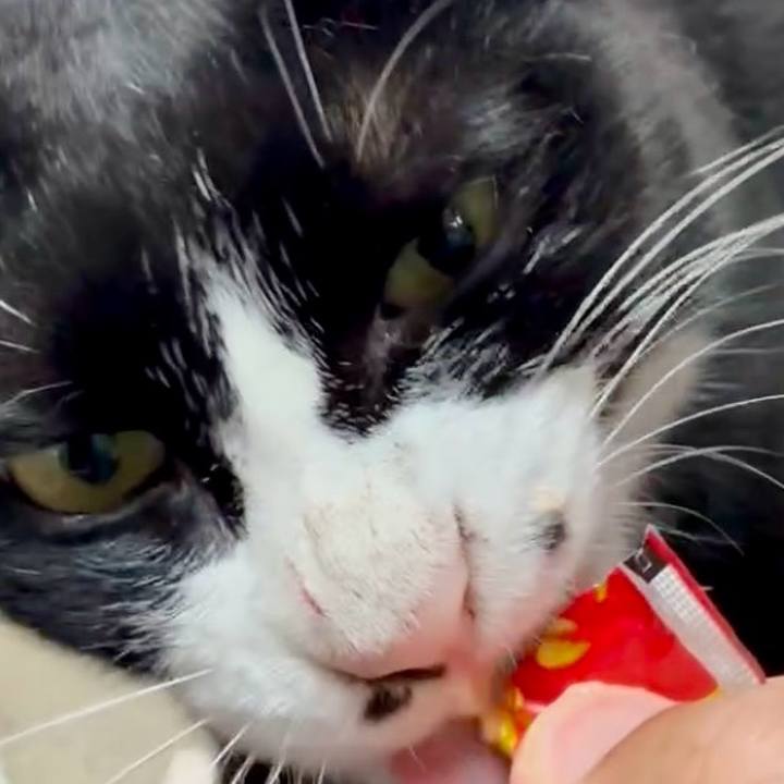 D26c5f3e 0f9e 45d5 a37c b02b2ef4a695 1752029886430