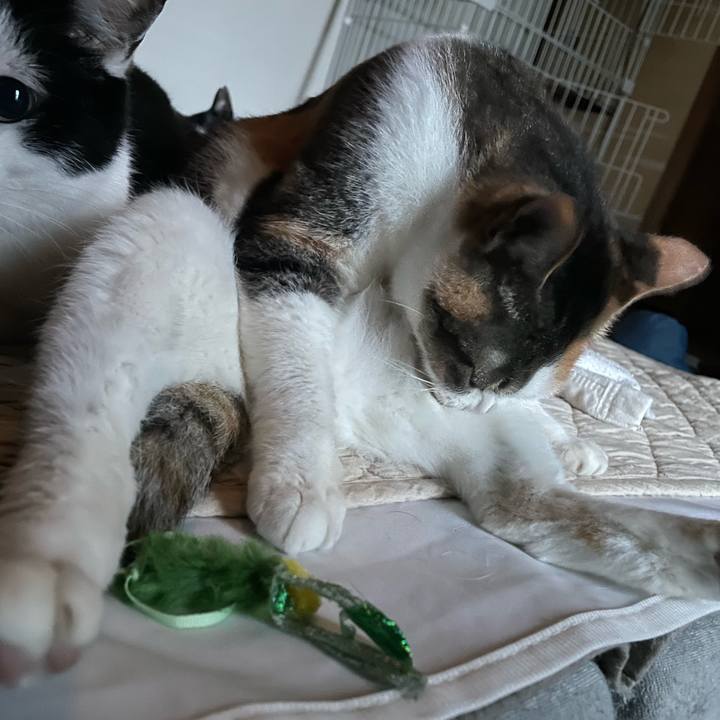 D26c6549 5586 44a7 95e9 a9d47581b044 1686598805045