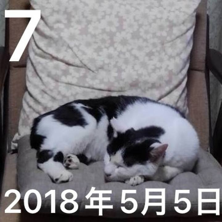 D26c6f72 db54 4795 bd3b 791736787b76 1746601235654