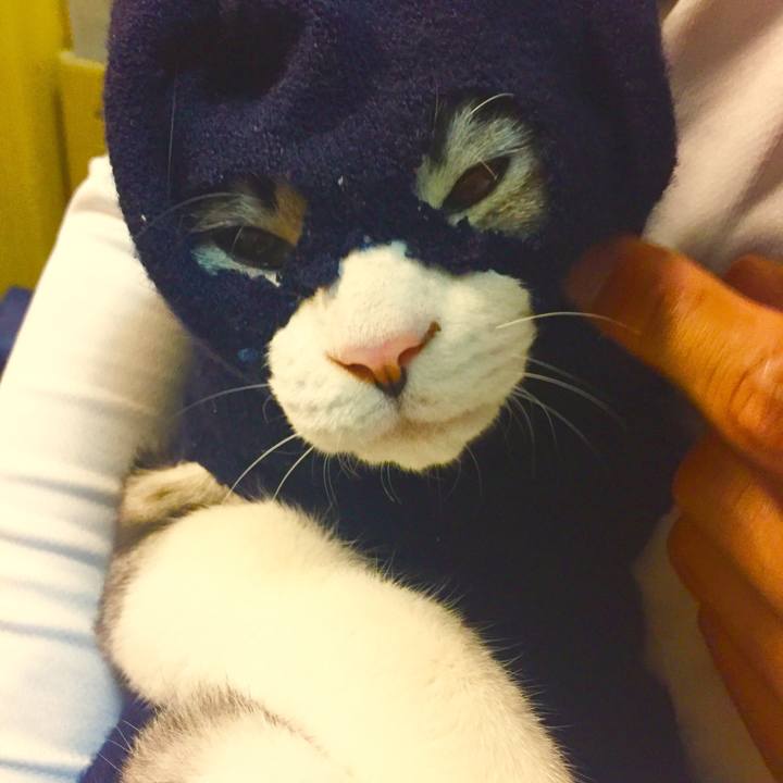 D26c734e 95af 4c4b bccf a952c22d3cce 1541309087567