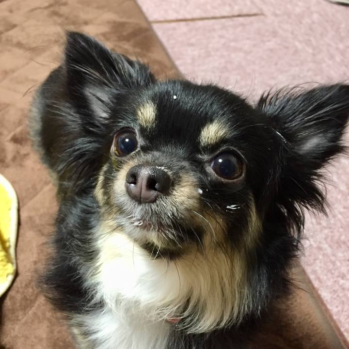 D26c747b c4ec 476e a708 22da3a033d32 1546213065582