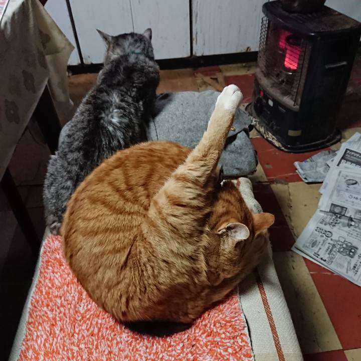 D26c88ef eefe 456a a3a8 2e0e2ed52050 1576275835748