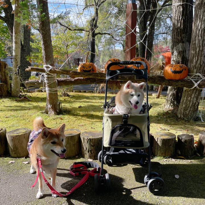 D26cbf41 8b9e 4324 a59f 695debfb03a9 1735360118322