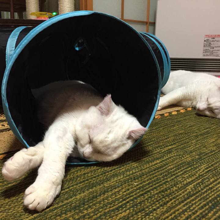 D26cc83e 0b5a 446d a3f3 9c9c2a1b29ea 1515392816034