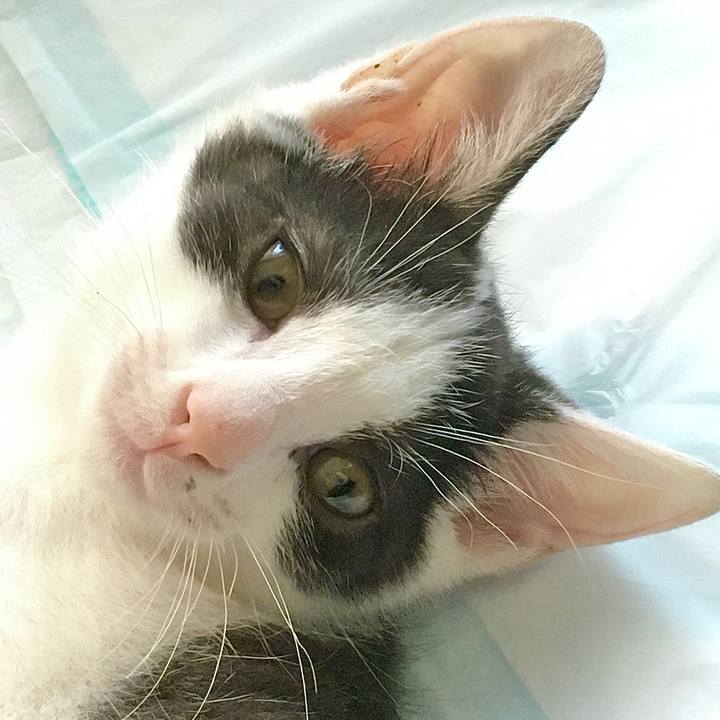 D26cd099 397e 429a 931a de2050726fa6 1626850541418