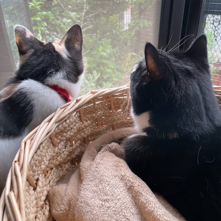 D26cf8a1 5528 42f3 a23d 68f2a9447faf 1716761028912