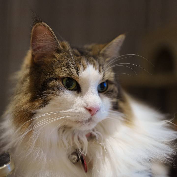 D26d0b8b 909d 40fc 9675 c59dcba03b09 1722170337827