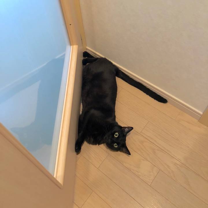 D26d1bc3 39dd 4844 b9db 70bfa8370b45 1533441993244